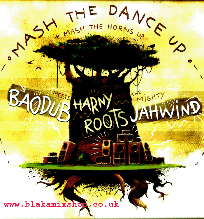 12" Mash The Dance Up [4 Mixes] BAODUB meets HARNY ROOTS and t